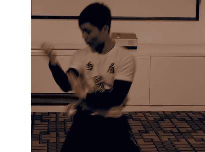 Bill Ng Pak Mei Kung Fu Hong Kong HK