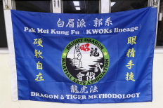 Shoryu Kai Pak Mei Kung Fu Hong Kong Bak Mei HK